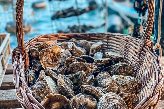 Oyster farm experience / Private day trip from Dubrovnik - Who will get the most from the $258.30 price