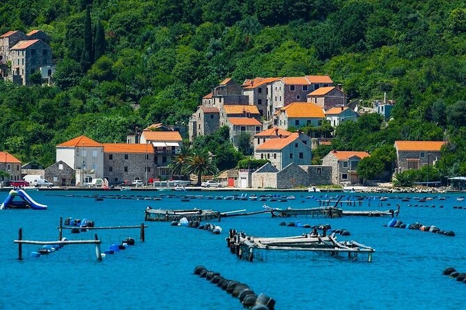 Oyster farm experience / Private day trip from Dubrovnik - Majkovi viewpoint and the Adriatic spread