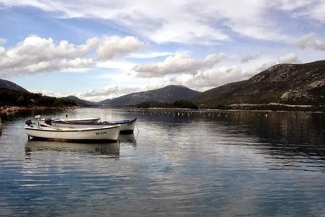 Oysters and mussels tasting with wine in Ston and Pelješac - The best parts of the experience