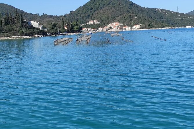 Oysters and mussels tasting with wine in Ston and Pelješac - Hodilje and the oyster farm