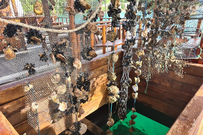 Oysters & Wine Tour From Dubrovnik (Small Group) - Key points to know before booking