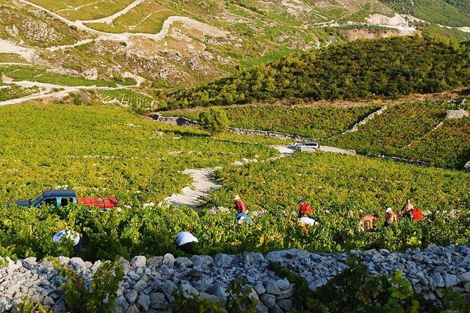 Oysters & Wine Tour From Dubrovnik (Small Group) - Is $266.70 a fair price?