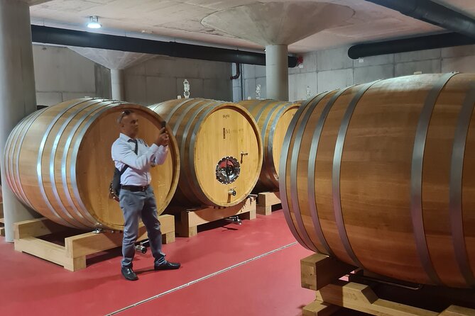 Oysters & Wine Tour From Dubrovnik (Small Group) - Who should book this experience?