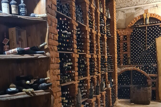 Oysters & Wine Tour From Dubrovnik (Small Group) - My verdict on the Ston wine and oyster day