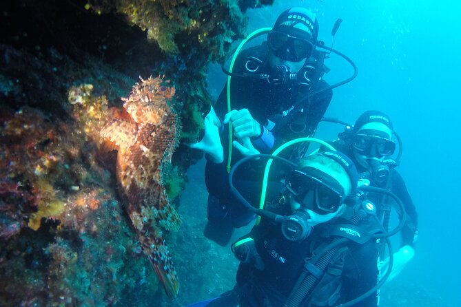 PADI Discover Scuba Diving in Dubrovnik - Second session: 45 minutes at a maximum of 12 meters