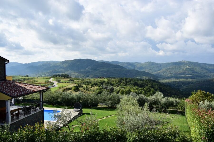 Paladini: Truffle Hunting Tour with 3-Course Tasting Menu - Dessert, homemade wine, and the one missing drink