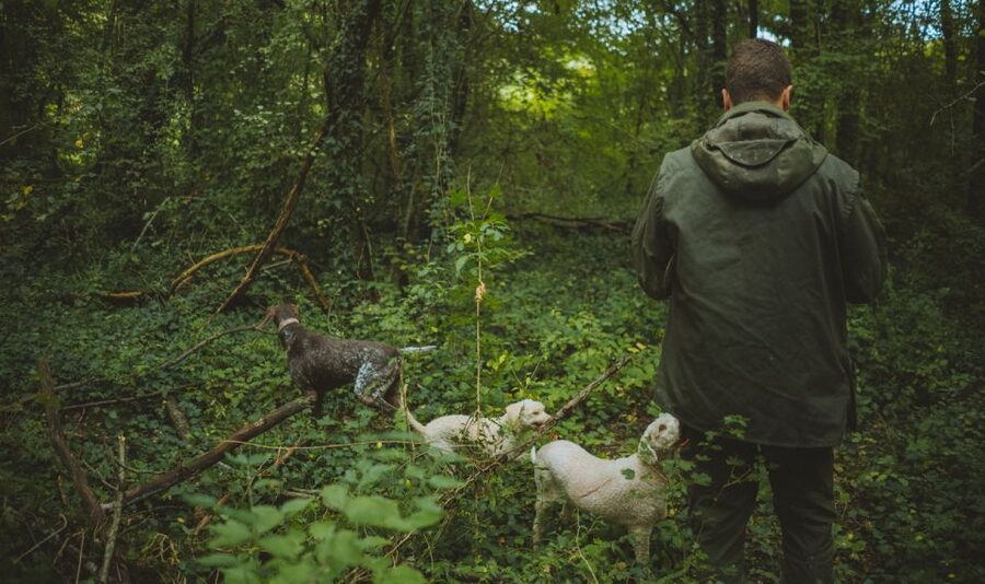 Paladini: Truffle Hunting Tour with 3-Course Tasting Menu - Who should book this truffle tour?