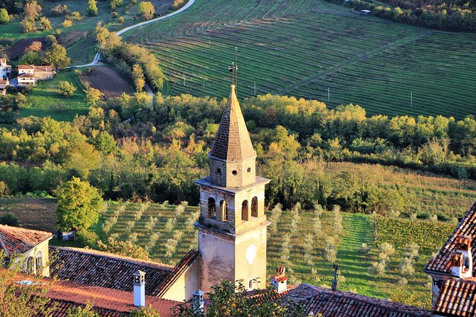 Parenzana Trail Full Day Cycling Tour from Pula, Rovinj, Poreč or Buje - Grožnjan, the town of artists