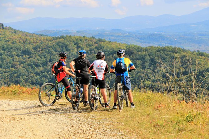 Parenzana Trail Full Day Cycling Tour from Pula, Rovinj, Poreč or Buje - Crossing the Mirna River and climbing to Motovun