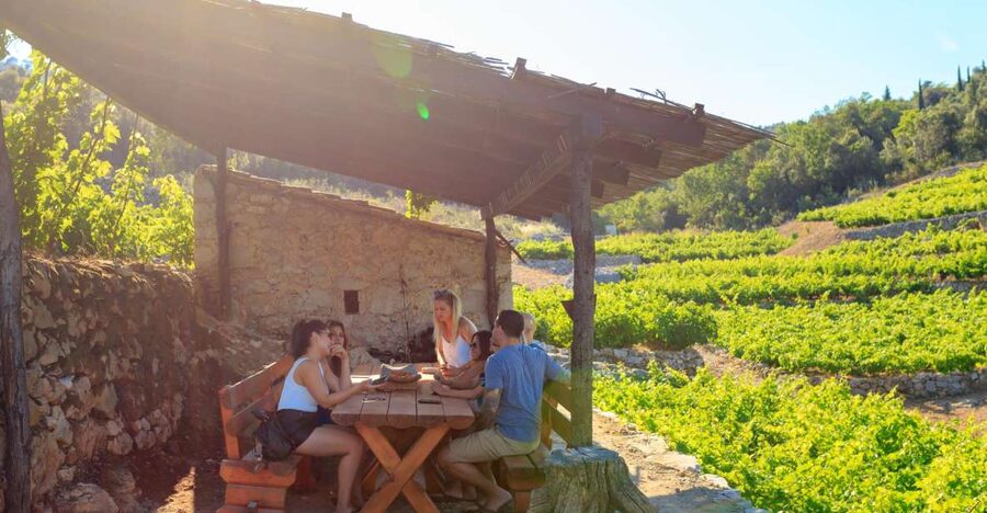 Pelješac Full-Day Wine and Food Tour from Dubrovnik - Mali Ston and oysters straight from the bay