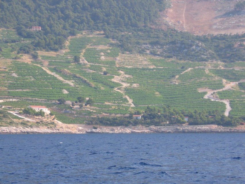 Peljesac Peninsula & Korcula Island Day-Trip from Dubrovnik - How the timing feels over 11 hours