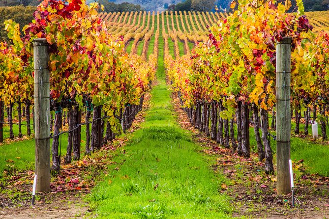 Peljesac Peninsula Wine Tasting Luxury Tour from Dubrovnik - What the Private Format Really Means