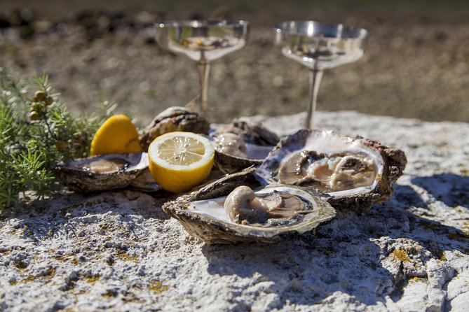 Peljesac Peninsula Wine Tasting Luxury Tour from Dubrovnik - Who Should Book This Tour?