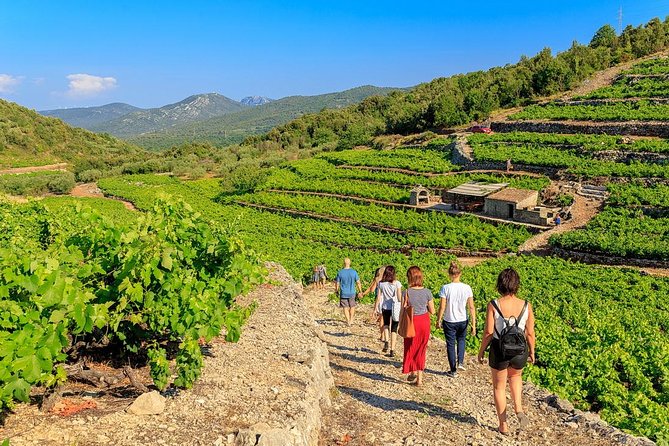 Peljesac&Ston Small-Group Food & Wine Experience from Dubrovnik - Key points to know before booking
