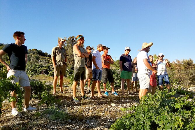 Peljesac&Ston Small-Group Food & Wine Experience from Dubrovnik - Pelješac Peninsula: vineyards, villages, and local wine