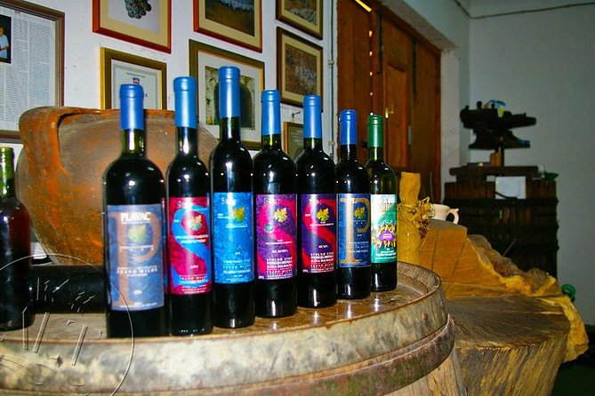 Peljesac Vineyards & Oysters - Private Day Trip from Dubrovnik-Mercedes Vehicle - What the private Mercedes vehicle adds