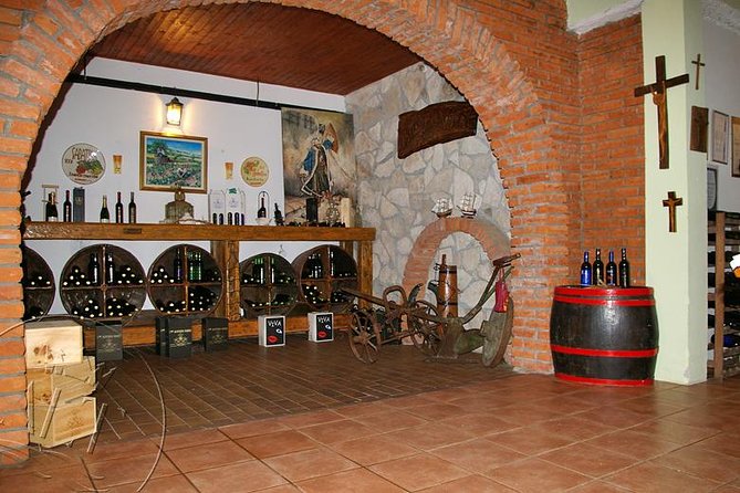 Peljesac Vineyards & Oysters - Private Day Trip from Dubrovnik-Mercedes Vehicle - Who will enjoy this Peljesac day trip