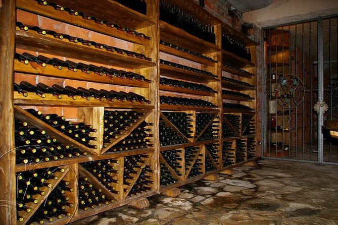 Peljesac Vineyards & Oysters - Private Day Trip from Dubrovnik-Mercedes Vehicle - Practical details before you reserve