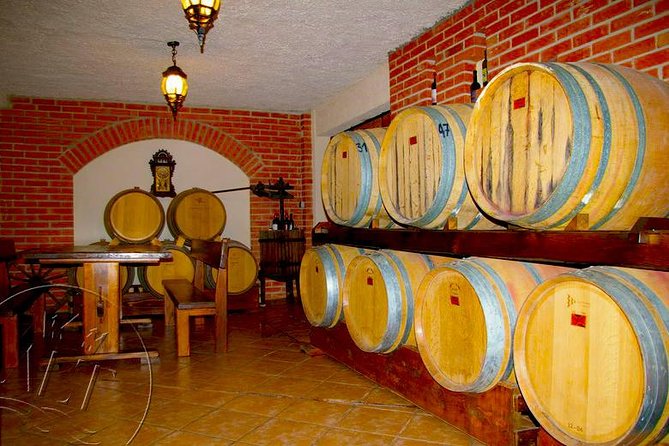 Peljesac Vineyards & Oysters - Private Day Trip from Dubrovnik-Mercedes Vehicle - Ston walls, salt flats, and a useful first stop