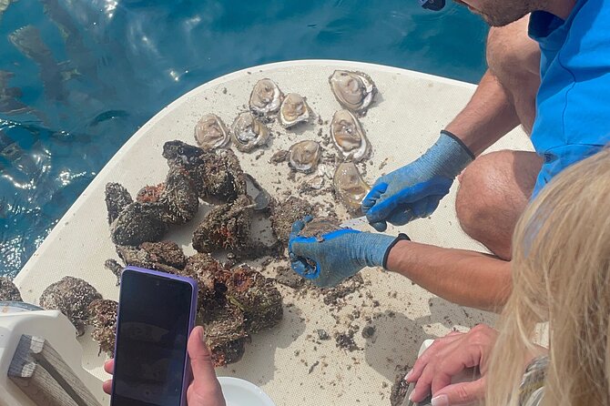 Pelješac - Wine, Oysters and Food Experience from Dubrovnik - Ston in 30 minutes: salt, walls, and a quick pause