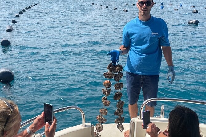 Pelješac - Wine, Oysters and Food Experience from Dubrovnik - Hodilje village and the oyster tasting