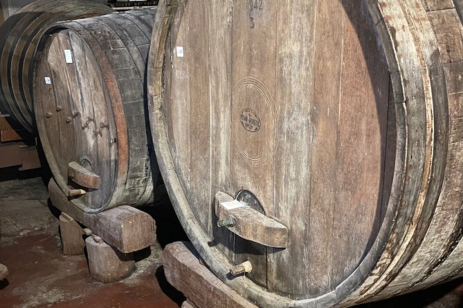 Pelješac - Wine, Oysters and Food Experience from Dubrovnik - The second winery and its cellar visit