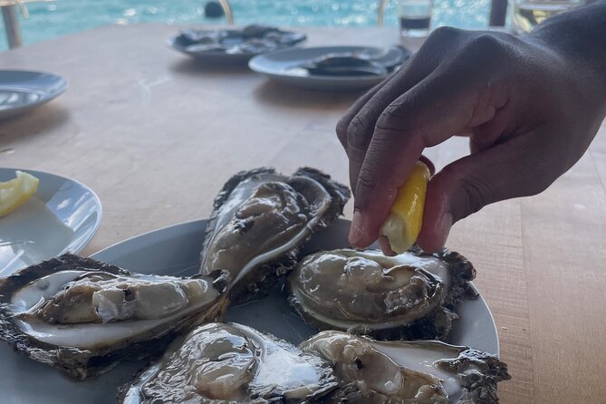 Pelješac - Wine, Oysters and Food Experience from Dubrovnik - First stop: a family winery with wine and liqueur