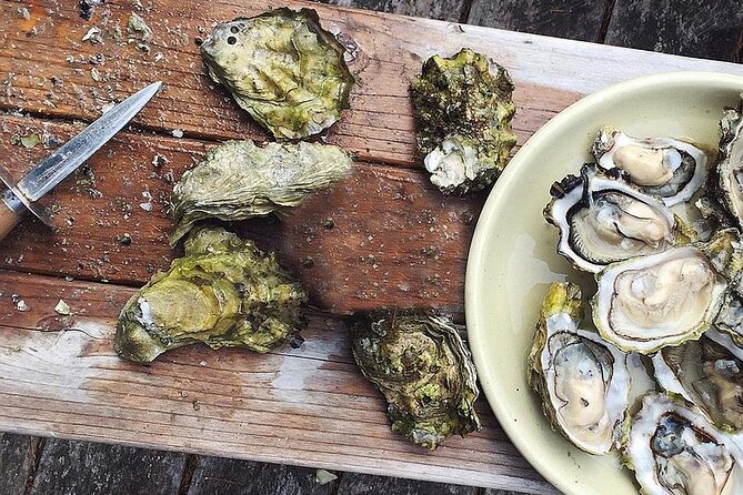 Peljesac Wine & Ston Oysters PRIVATE HALF DAY SHORE TOUR - Ponikve and the Pelješac wine tradition