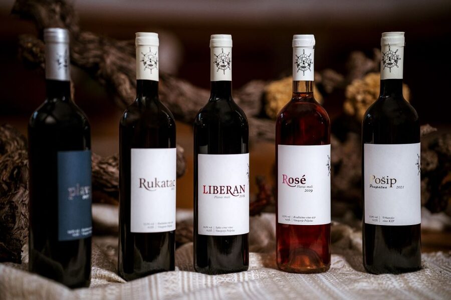 Pelješac wine tasting and local winery visit - A short look at traditional production