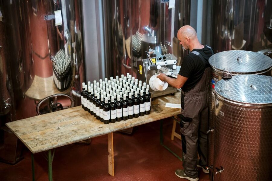 Pelješac wine tasting and local winery visit - Cheese, ham, bread, and olive oil