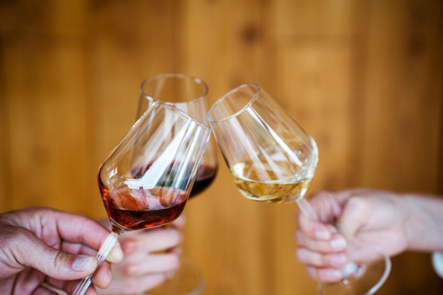 Pelješac wine tasting and local winery visit - Pairing the winery with Ston