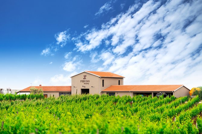 PERVINO - Wine tasting - Who will enjoy this Novigrad tasting most?