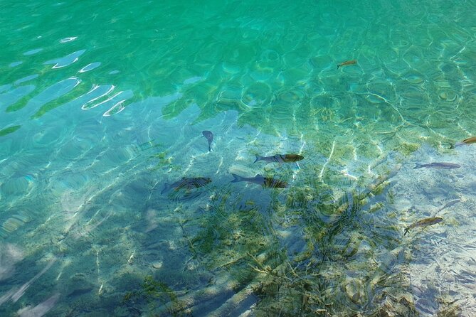 Plitvice Lakes Day Tour from Zadar, Simple and Safe - Why Plitvice Lakes Is Worth the Two-Hour Ride