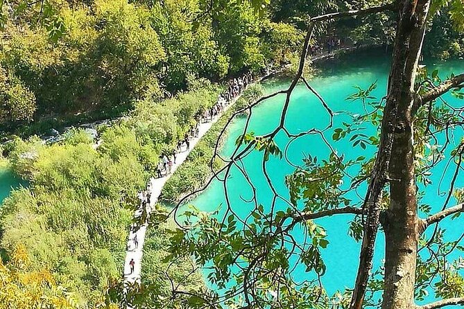 Plitvice Lakes Day Tour from Zadar, Simple and Safe - What the Guide Actually Does