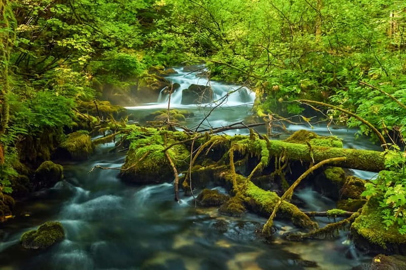 Plitvice Lakes: Guided Walking Tour with Train and Boat Ride - Starting at Entrance 1 and finding your bearings