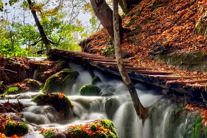 Plitvice Lakes National Park - private day-trip from Zagreb - Why this Zagreb day trip works