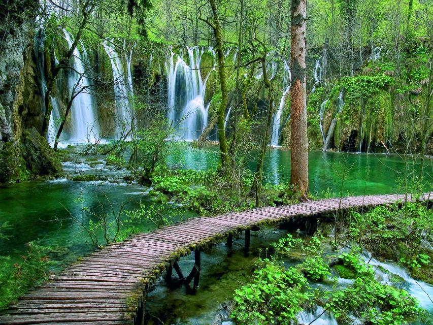 Plitvice Lakes National Park: Private Tour from Zadar - Should you book the private Plitvice trip from Zadar?