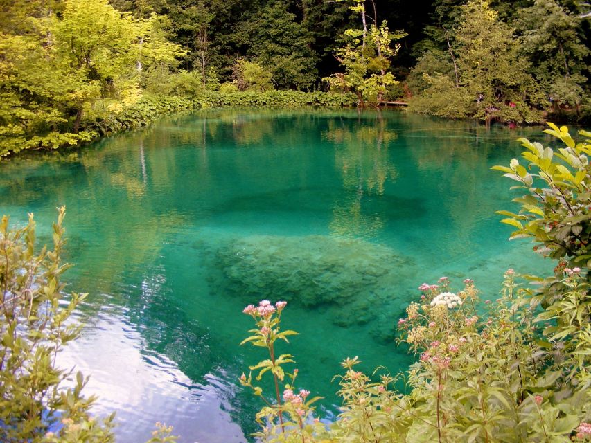 Plitvice Lakes National Park: Private Tour from Zadar - First steps on the wooden trails