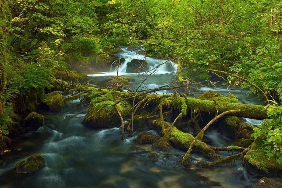 Plitvice Lakes Private Guided Tour - Reaching the Upper Lakes for a longer day