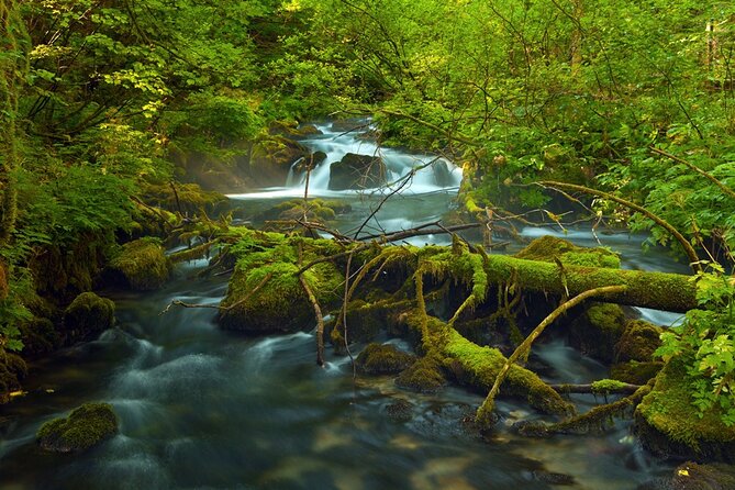 Plitvice Lakes Private Guided Walking Tour - Why Plitvice works best with a clear plan