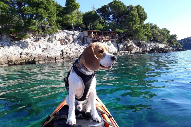 'Pomalo' Guided Sea Kayaking Tour in Cavtat - Key points at a glance