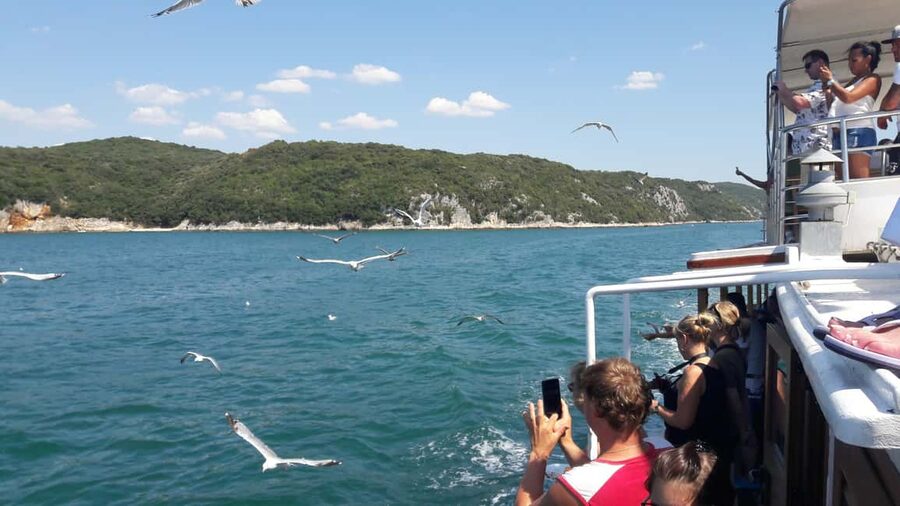 Poreč: Boat tour to Rovinj with lunch and drinks - The ride from Poreč to Rovinj