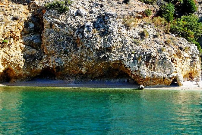 Private 7,5h Plavnik Island & Wild Bays Full-day Boat Trip - A captain-led day, not a scripted cruise