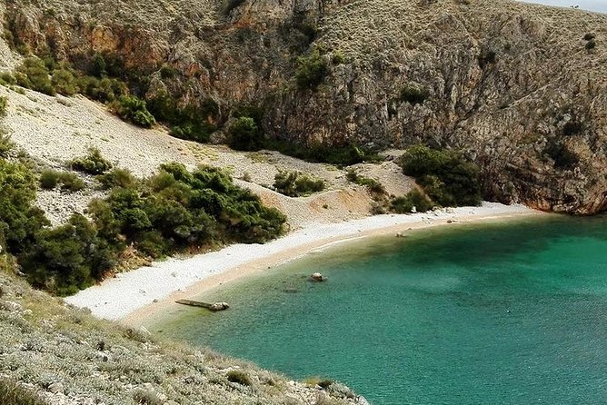 Private 7,5h Plavnik Island & Wild Bays Full-day Boat Trip - Plavnik Island and the griffon vultures