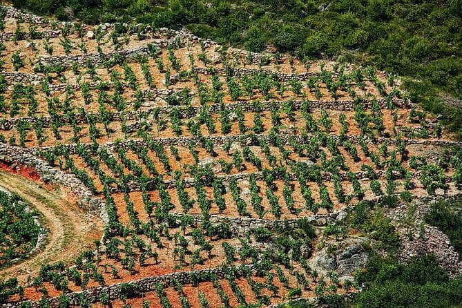 Private Boat Tour from Dubrovnik to Elaphiti Islands - Lopud village, a monastery, and a Renaissance arboretum