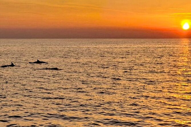 Private Boat Tour with activities in Pula Croatia - Fazana brings another hour in the water
