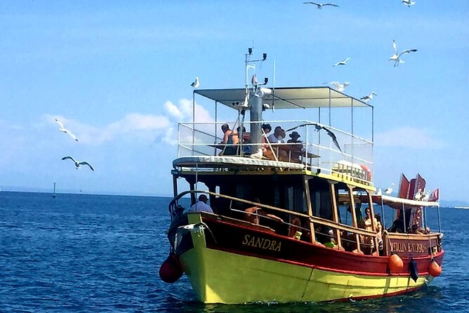 Private Boat Trip with Sandra Boat Medulin, Kamenjak, Ceja - Passing Porer Lighthouse