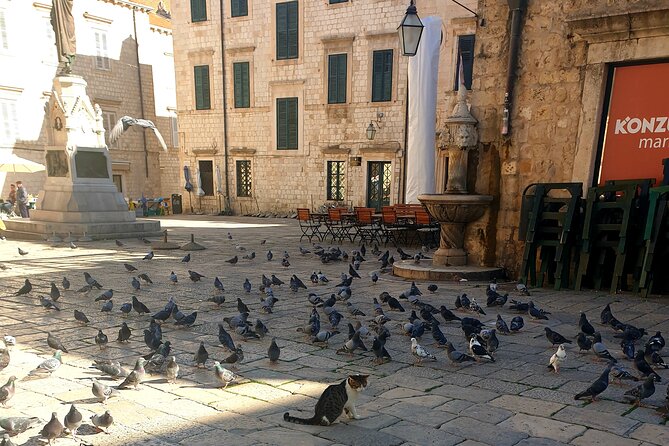 Private Fort Lovrijenac and Dubrovnik City Tour - St. Ignatius Church and the Baroque Finish