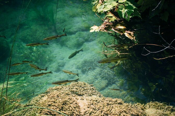 Private Full-Day Krka Waterfalls Tour with Wine Tasting - Three hours among Krka’s waterfalls and old crafts