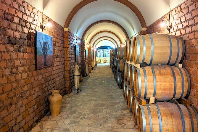 Private Full Day Peljesac Wine Tasting Tour from Dubrovnik - Lunch, oysters, and the cost of eating along the way